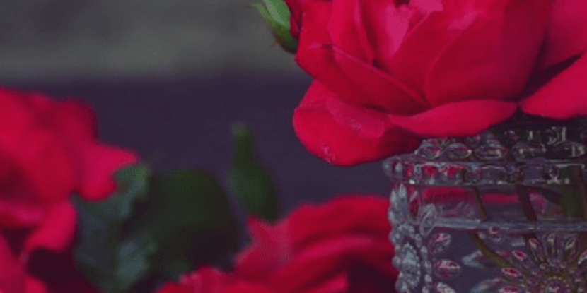 Primavera de 50′ – Jullie Veiga e Mohine Yamir