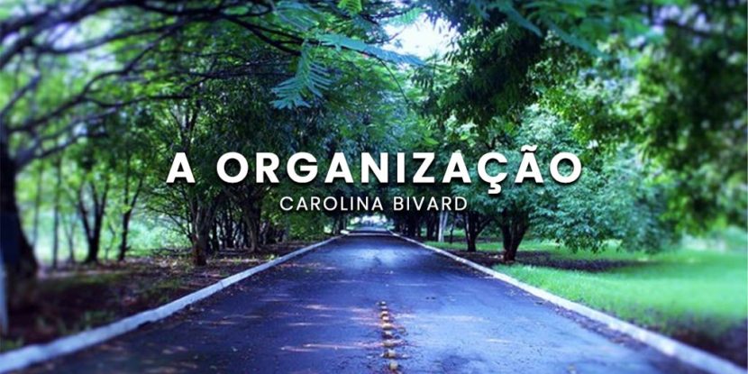 A Organização